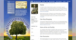 Desktop Screenshot of betheldentist.com